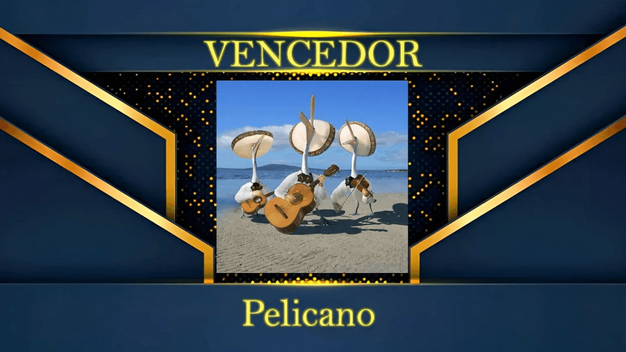 Melhor foto de perfil - vencedor