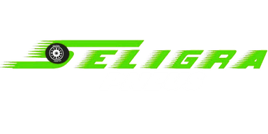 Logo Seligra Pneus