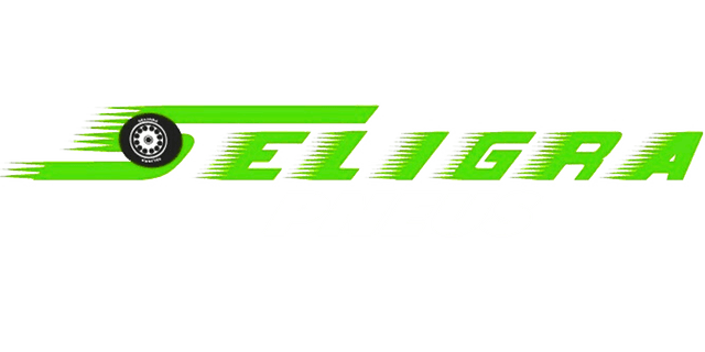 Seligra Pneus